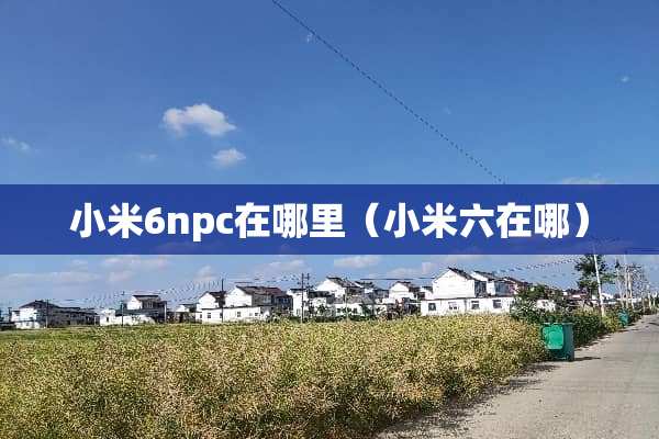小米6npc在哪里（小米六在哪）