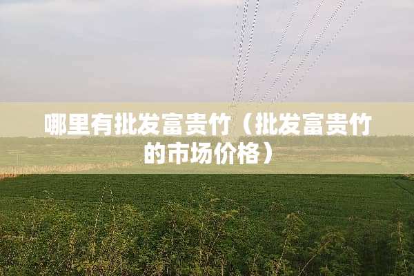 哪里有批发富贵竹（批发富贵竹的市场价格）