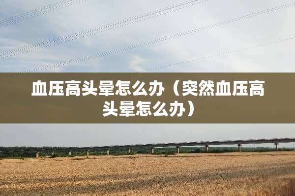 血压高头晕怎么办（突然血压高头晕怎么办）