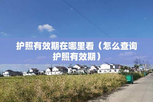 护照有效期在哪里看（怎么查询护照有效期）