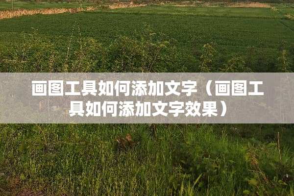 画图工具如何添加文字（画图工具如何添加文字效果）