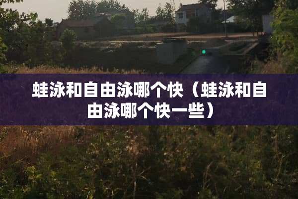 蛙泳和自由泳哪个快（蛙泳和自由泳哪个快一些）