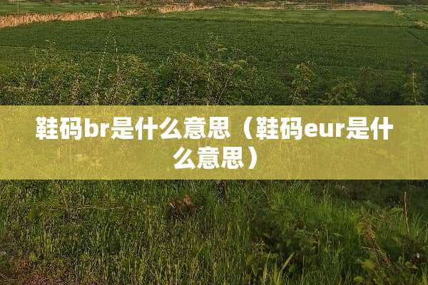 鞋码br是什么意思（鞋码eur是什么意思）