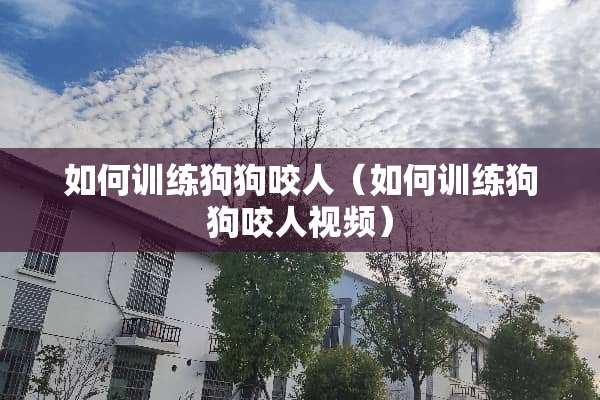如何训练狗狗咬人（如何训练狗狗咬人视频）
