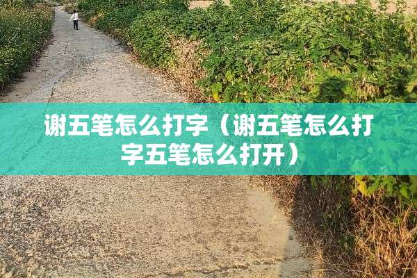 谢五笔怎么打字（谢五笔怎么打字五笔怎么打开）
