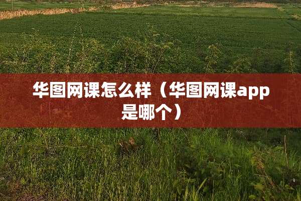 华图网课怎么样（华图网课app是哪个）