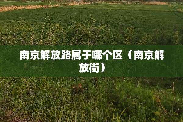 南京解放路属于哪个区（南京解放街）