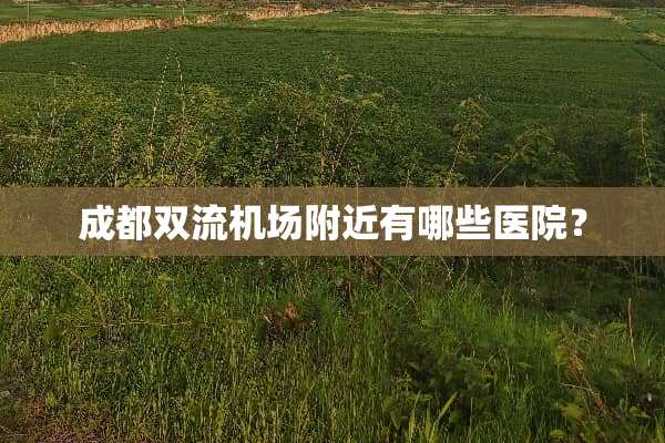 成都双流机场附近有哪些医院？
