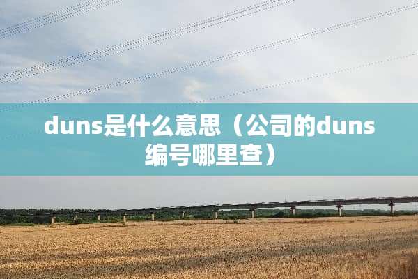 duns是什么意思（公司的duns编号哪里查）