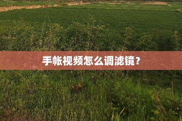 手帐视频怎么调滤镜？