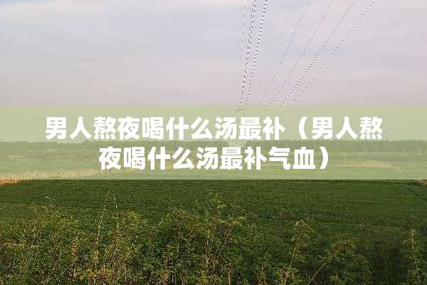 男人熬夜喝什么汤最补（男人熬夜喝什么汤最补气血）