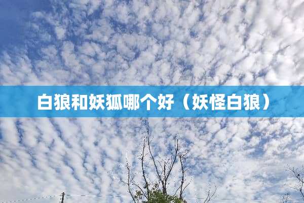 白狼和妖狐哪个好（妖怪白狼）