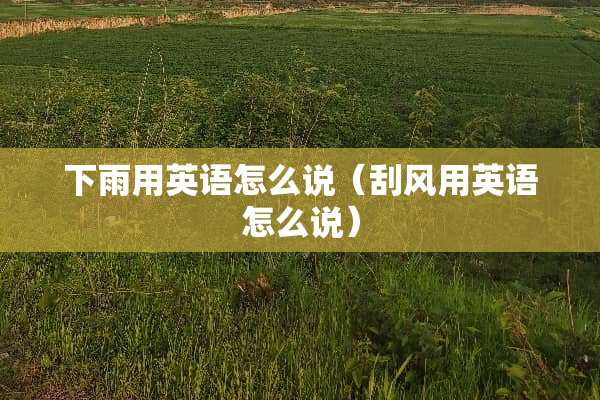 下雨用英语怎么说（刮风用英语怎么说）