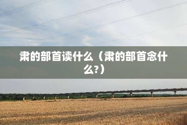 肃的部首读什么（肃的部首念什么?）