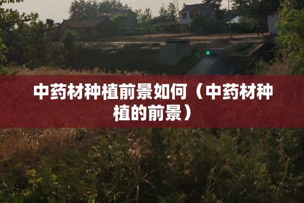 中药材种植前景如何（中药材种植的前景）