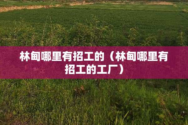 林甸哪里有招工的（林甸哪里有招工的工厂）