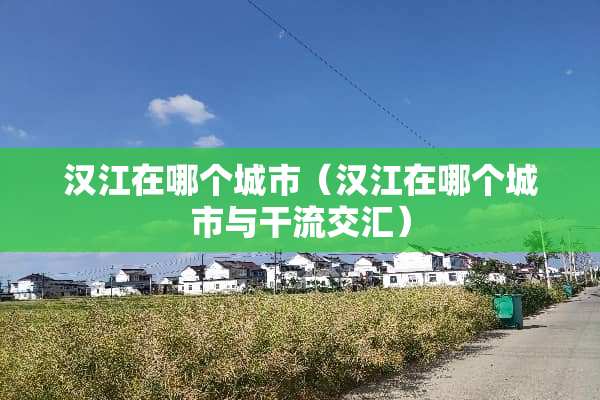汉江在哪个城市（汉江在哪个城市与干流交汇）