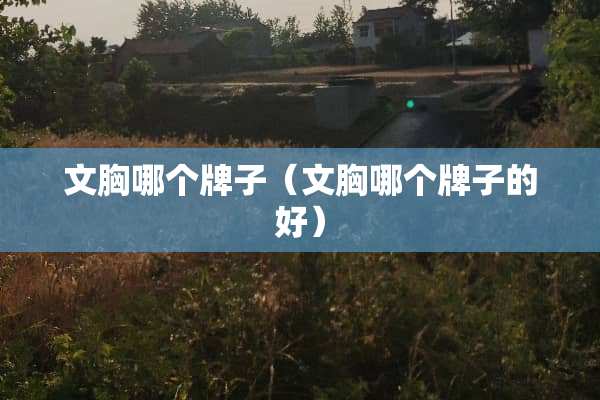 文胸哪个牌子（文胸哪个牌子的好）
