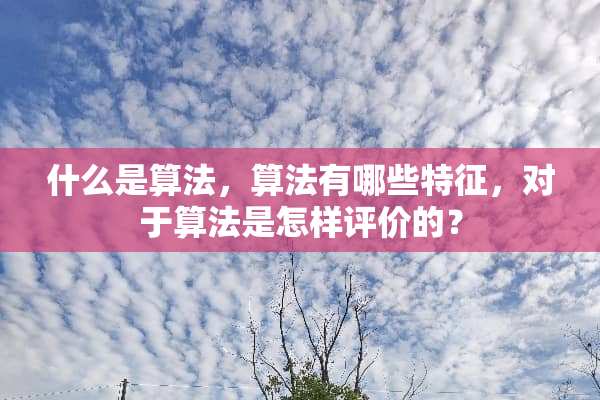什么是算法，算法有哪些特征，对于算法是怎样评价的？