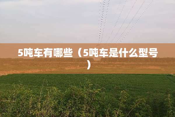 5吨车有哪些（5吨车是什么型号）