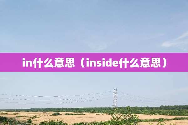 in什么意思（inside什么意思）
