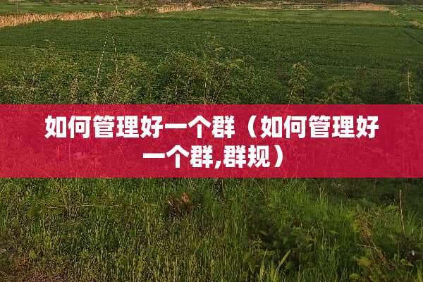 如何管理好一个群（如何管理好一个群,群规）