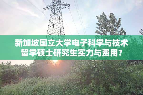 新加坡国立大学电子科学与技术留学硕士研究生实力与费用？