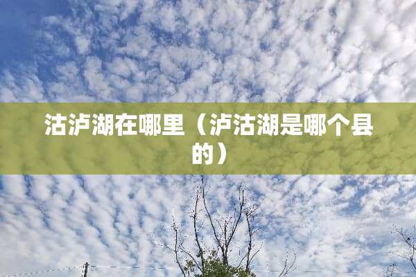 沽泸湖在哪里（泸沽湖是哪个县的）