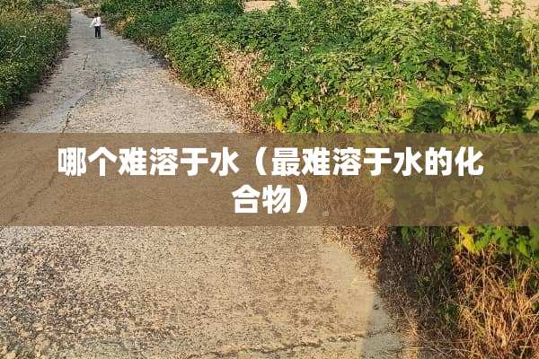 哪个难溶于水（最难溶于水的化合物）
