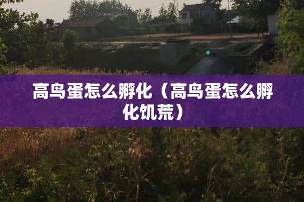 高鸟蛋怎么孵化（高鸟蛋怎么孵化饥荒）