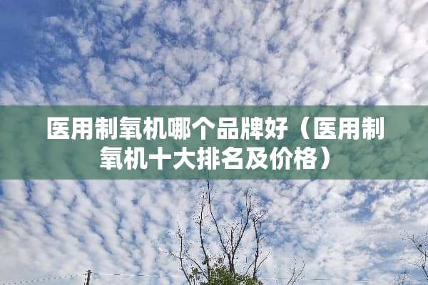 医用制氧机哪个品牌好（医用制氧机十大排名及价格）
