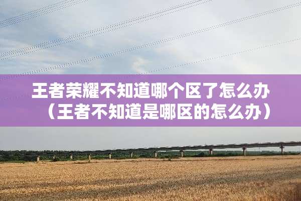 王者荣耀不知道哪个区了怎么办（王者不知道是哪区的怎么办）