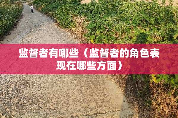监督者有哪些（监督者的角色表现在哪些方面）