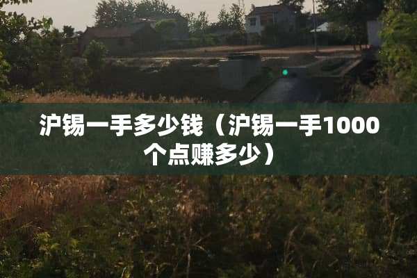 沪锡一手多少钱（沪锡一手1000个点赚多少）