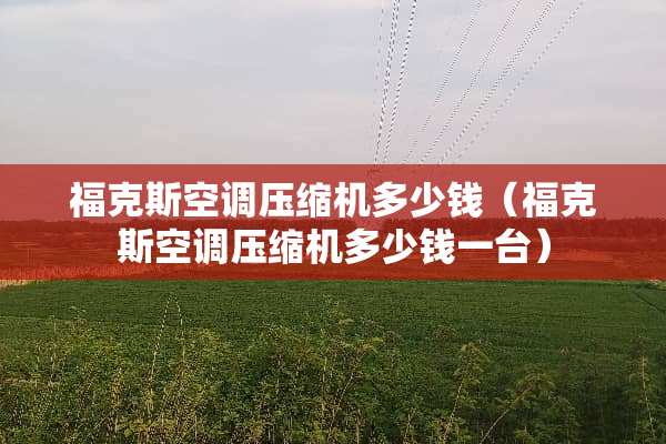 福克斯空调压缩机多少钱（福克斯空调压缩机多少钱一台）