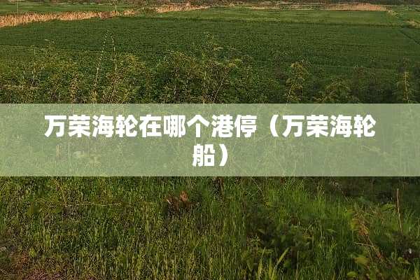 万荣海轮在哪个港停（万荣海轮船）
