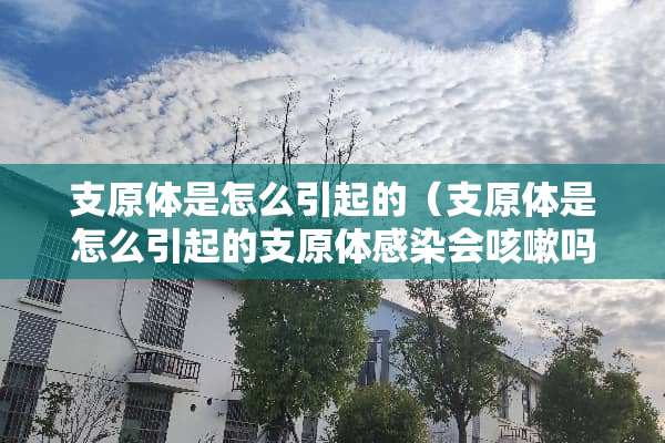 支原体是怎么引起的（支原体是怎么引起的支原体感染会咳嗽吗）