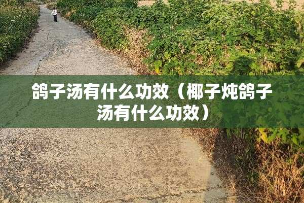 鸽子汤有什么功效（椰子炖鸽子汤有什么功效）