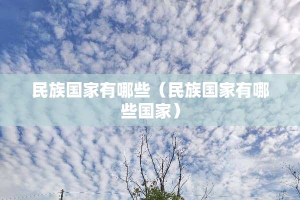 民族国家有哪些（民族国家有哪些国家）