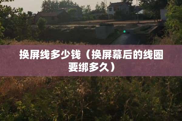 换屏线多少钱（换屏幕后的线圈要绑多久）