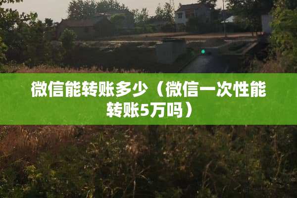 微信能转账多少（微信一次性能转账5万吗）