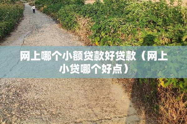 网上哪个小额贷款好贷款（网上小贷哪个好点）