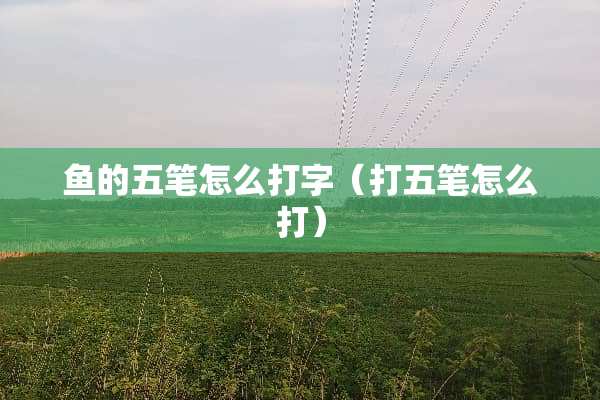 鱼的五笔怎么打字（打五笔怎么打）
