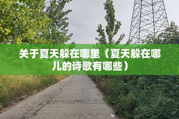 关于夏天躲在哪里（夏天躲在哪儿的诗歌有哪些）