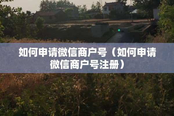 如何申请微信商户号（如何申请微信商户号注册）