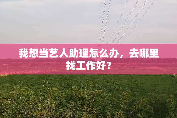 我想当艺人助理怎么办，去***工作好？
