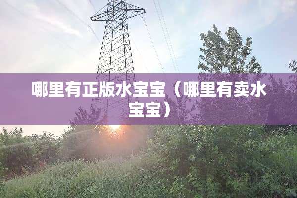 哪里有正版水宝宝（哪里有卖水宝宝）