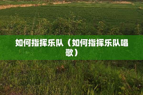 如何指挥乐队（如何指挥乐队唱歌）
