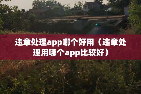 违章处理app哪个好用（违章处理用哪个app比较好）