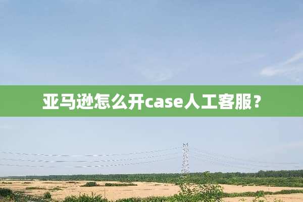 亚马逊怎么开case人工客服？